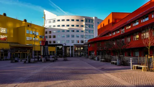 damir-korotaj-eRXZ407nIYk-unsplash