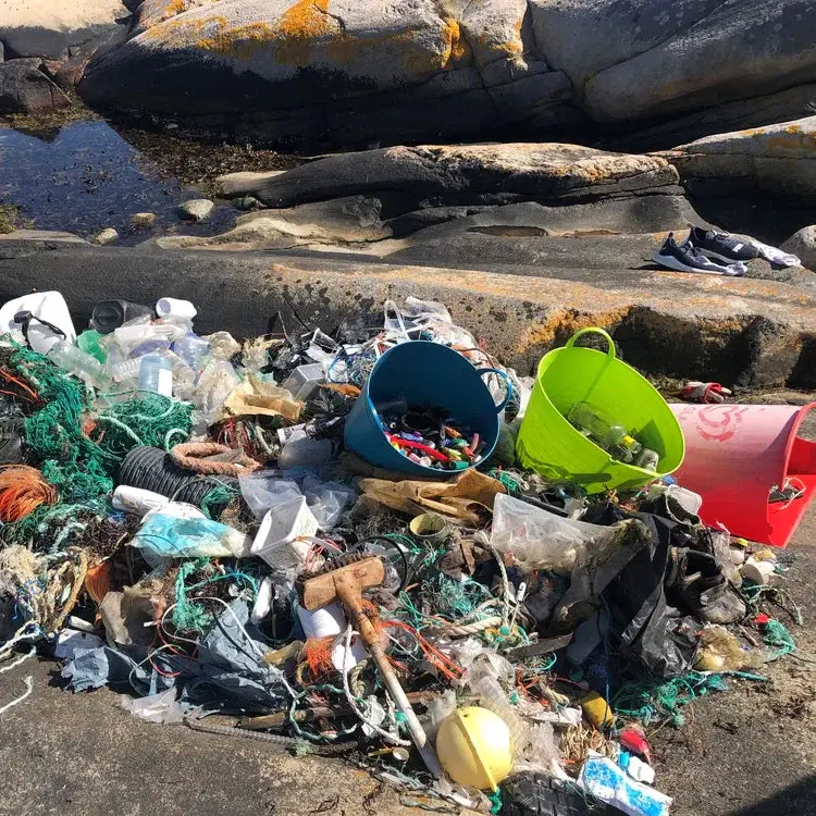 Borsta bort plast från svenska kusten i samarbete med Gumpearl och CleanSea